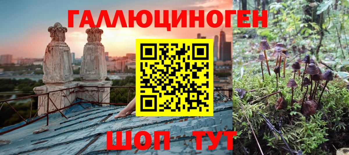Галлюциногенные грибы мухоморы  дарнет шоп  Вход с VPN  Арзамас  Псилоцибиновые грибы GOLDEN TEACHER 