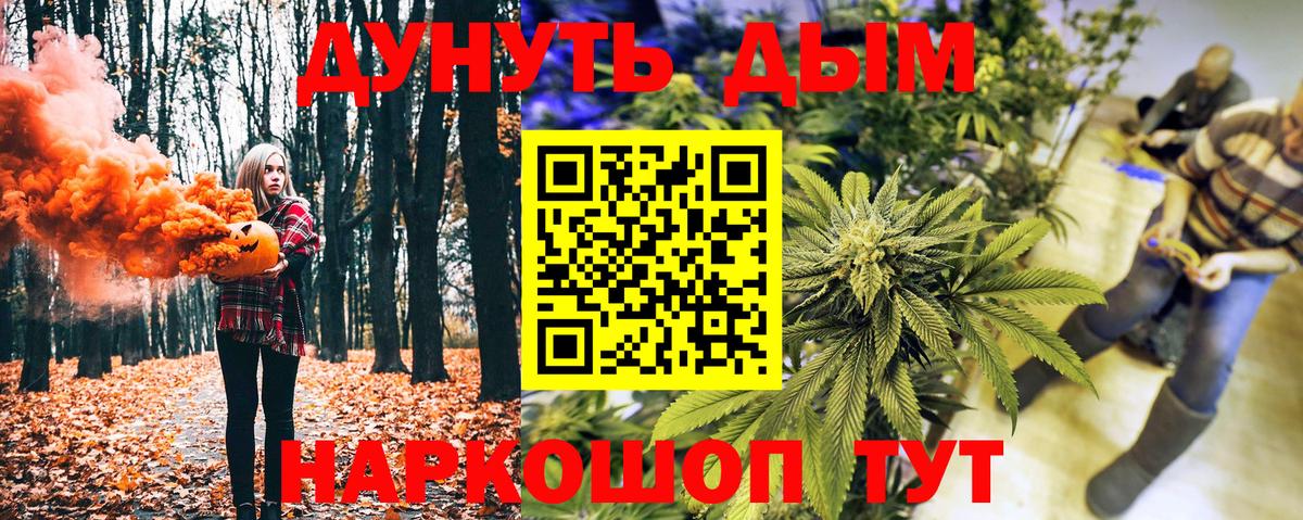 Бошки Шишки планчик Арзамас